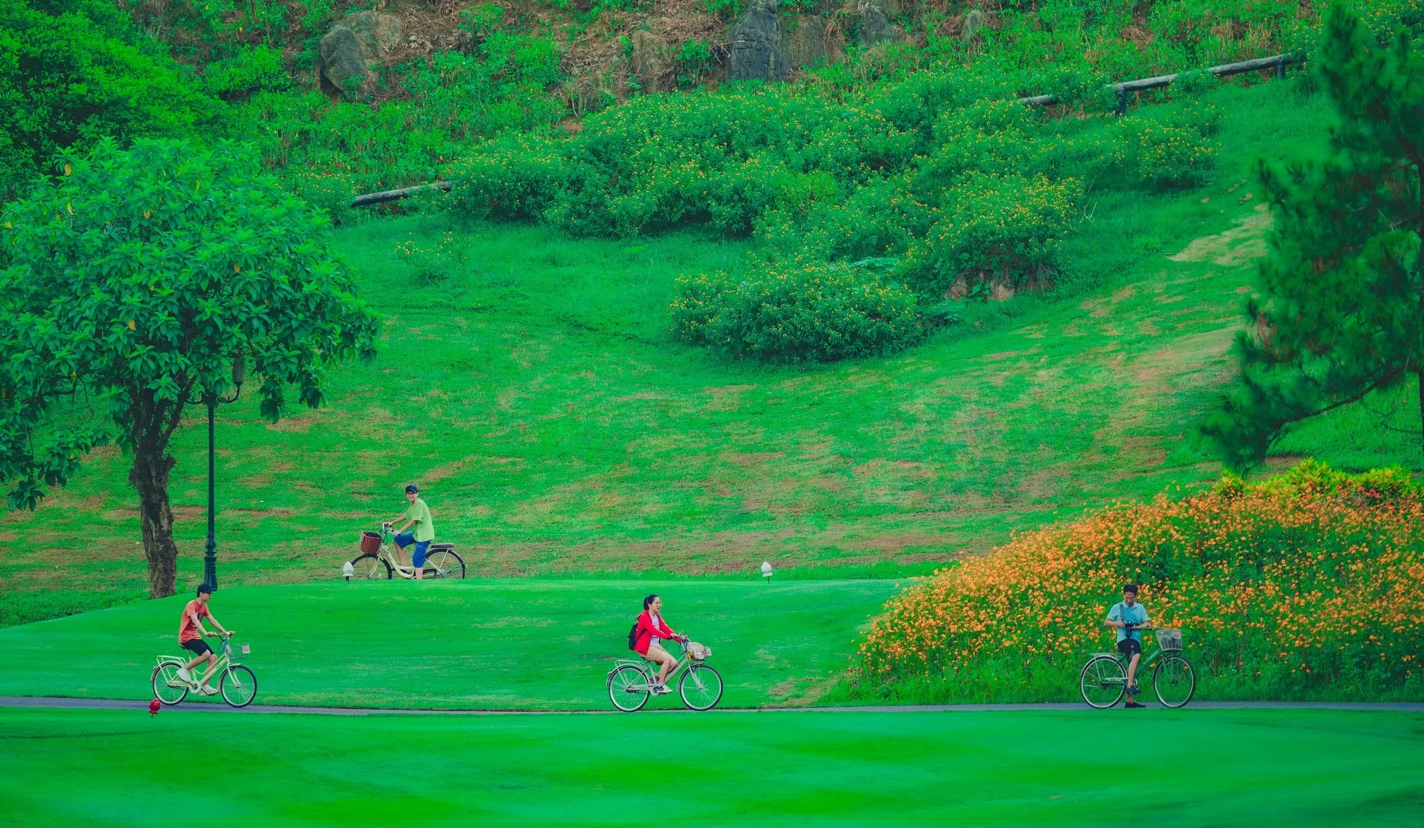 Green Pine Camping Ninh Bình